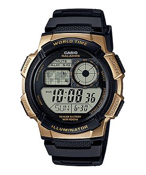 casio module 3198